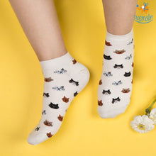 Load image into Gallery viewer, Cattitude Socks
