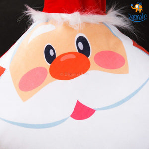 3D Santa Cushion