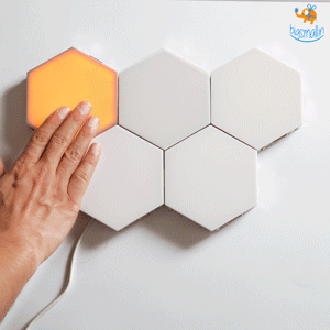 Multi-Colored Modular Touch Lights